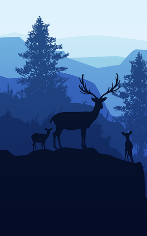 Troupeau de cerfs-Image Pixabay de Chakkree_Chantakad