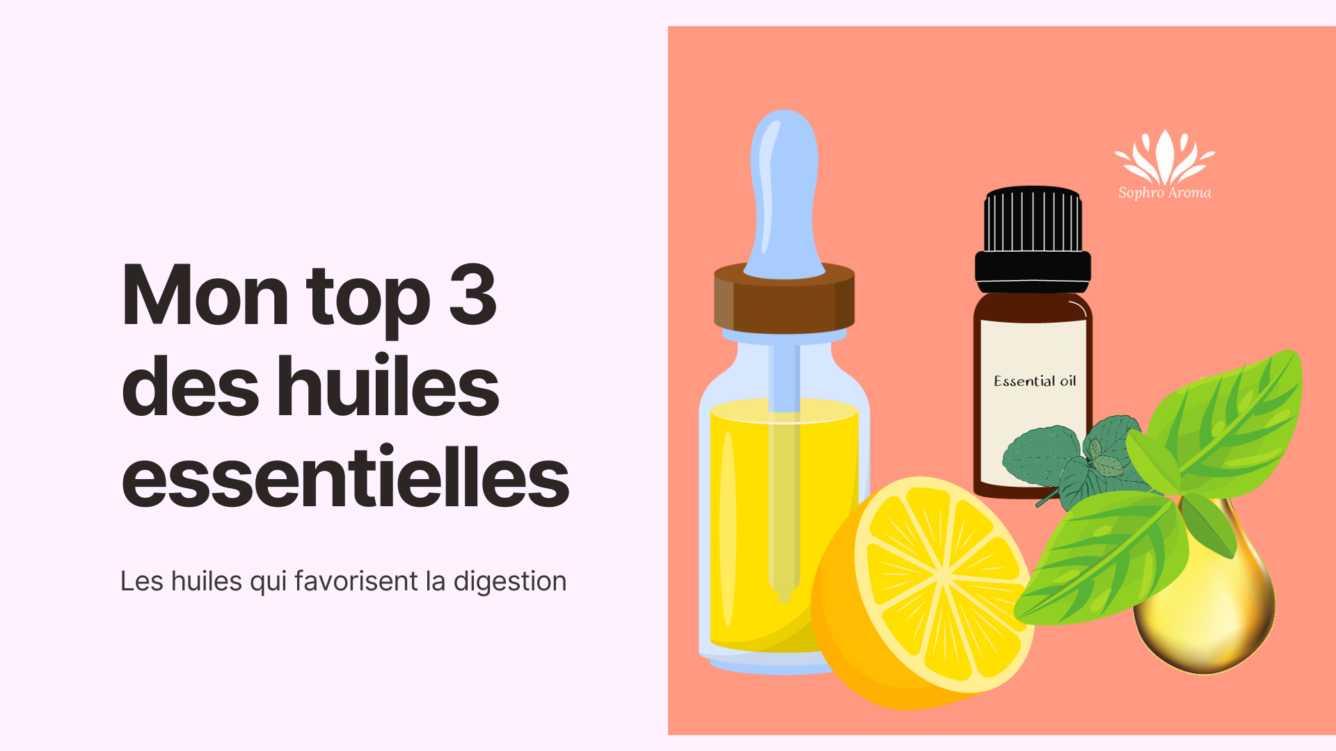 Favoriser La Digestion Avec Les Huiles Essentielles 